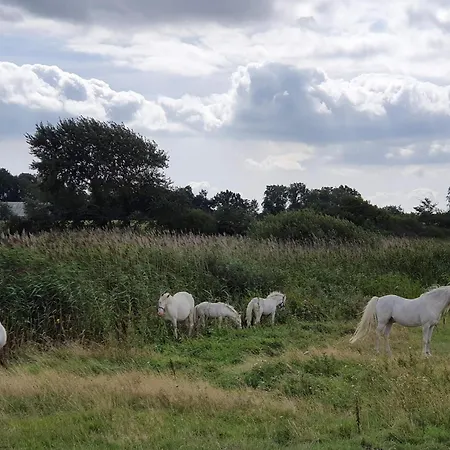 6 Person In Nordborg-by Traum Casa de Férias *